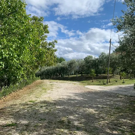 Alojamento de Acomodação e Pequeno-almoço Cerquatonda Montalto delle Marche